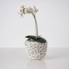 200522 Bates Design Product Shots0845 scallop pot orchid sm