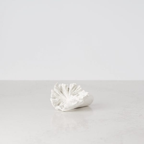 200522 Bates Design Product Shots0898 white sponge